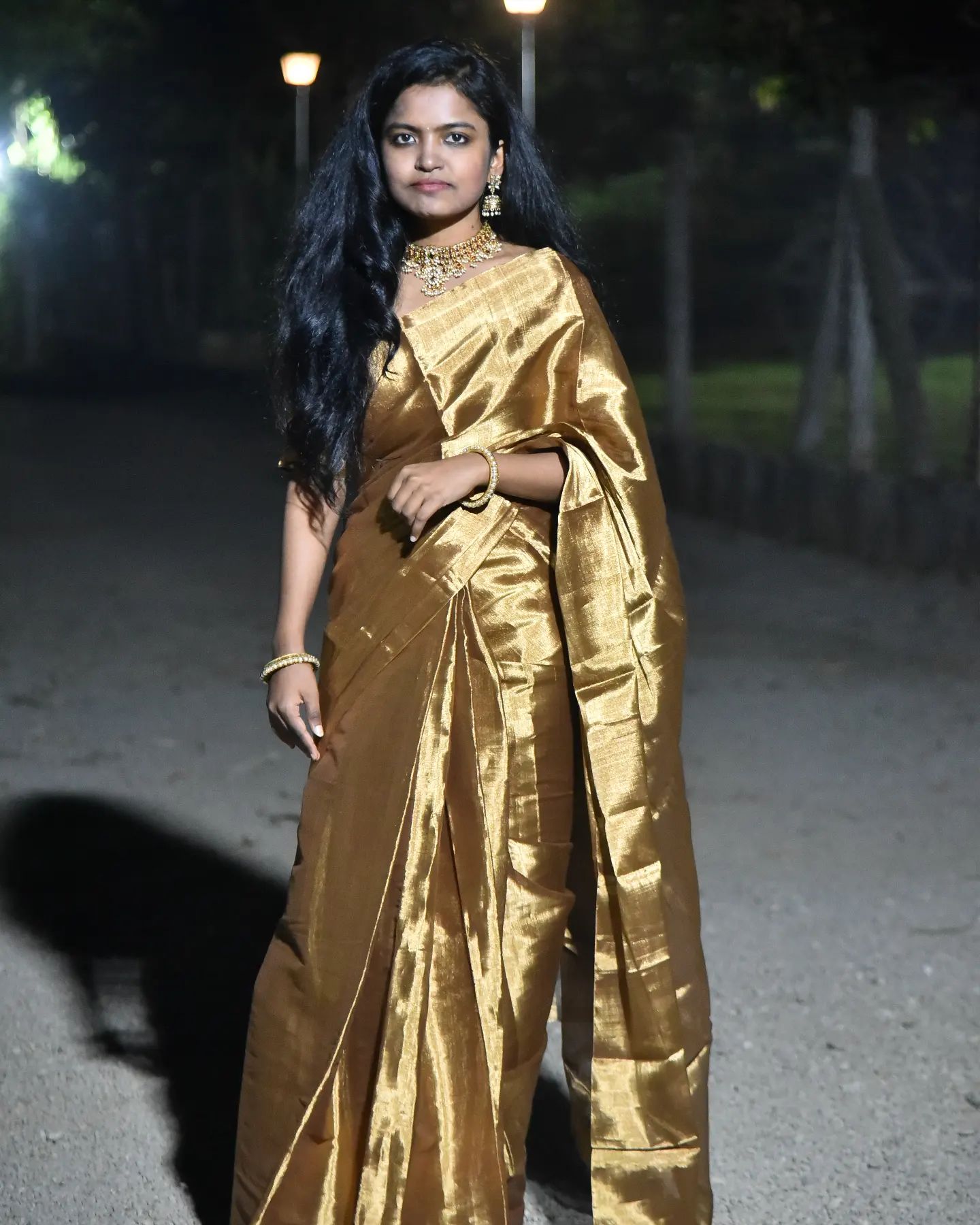 Chocolate Gold Tissue Saree