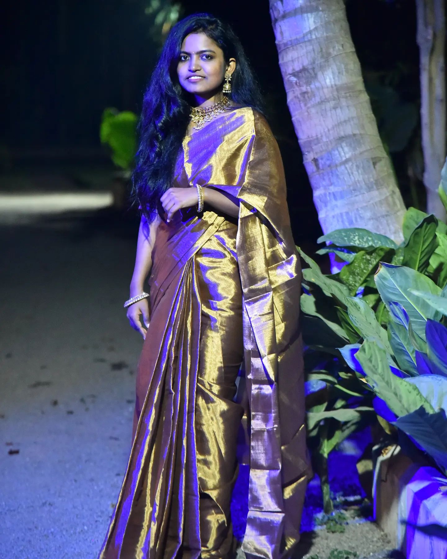 Chocolate Gold Tissue Saree