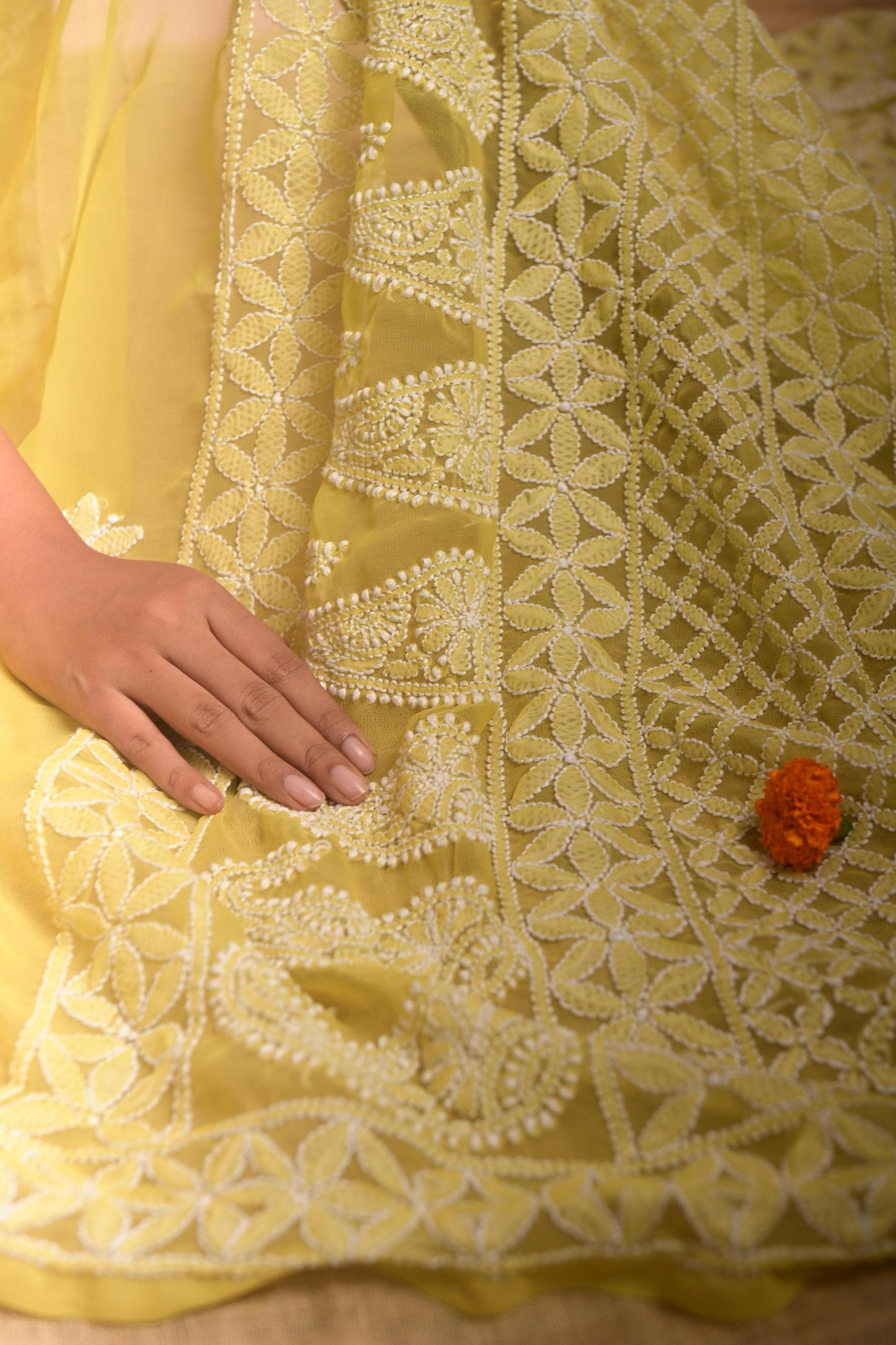 Pista Green Chikankari Saree