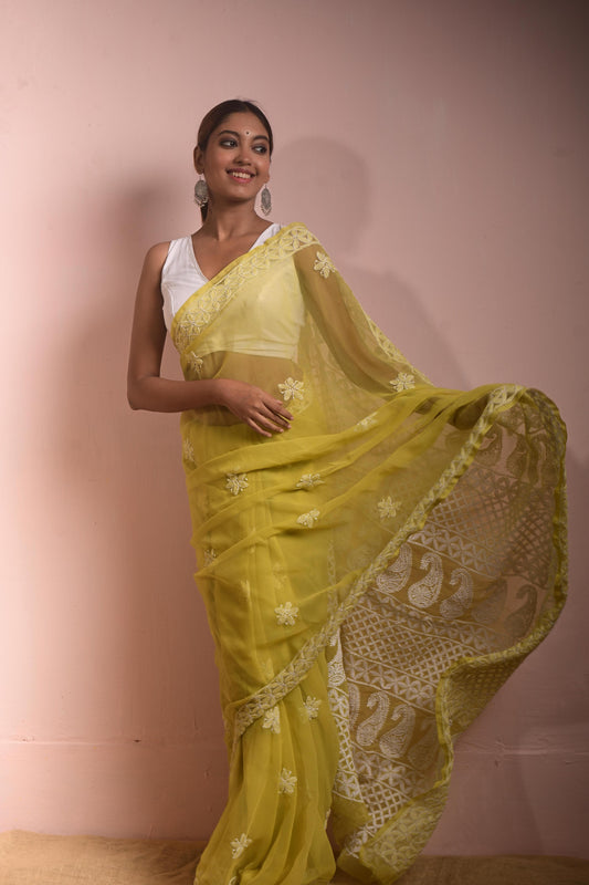 Pista Green Chikankari Saree